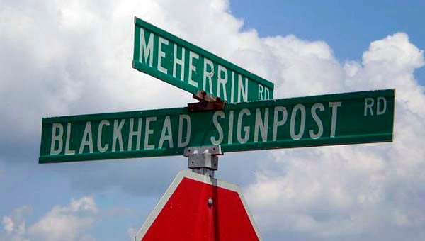 blackhead signpost road