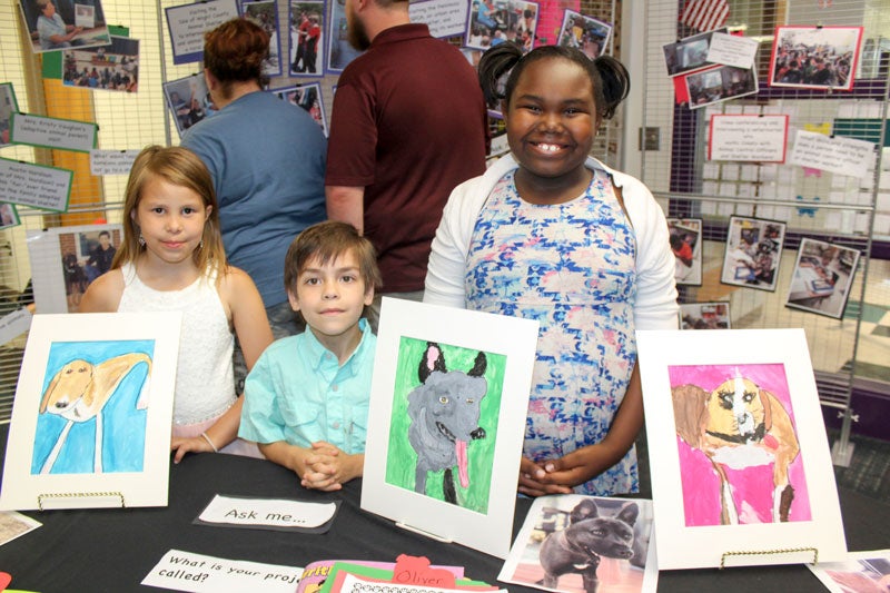 Carrsville Elementary second grade animal shelter projects