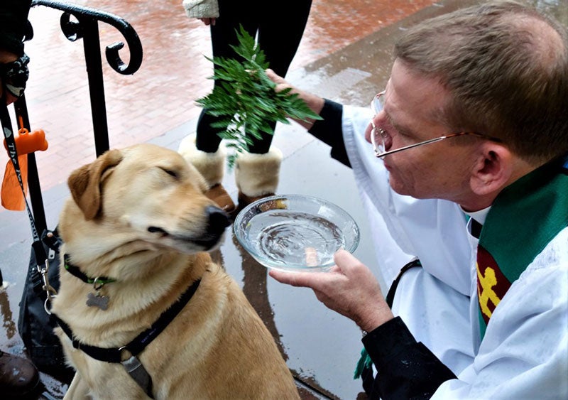 blessing of the pets