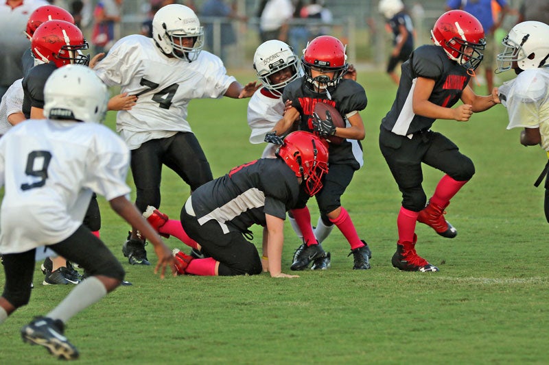 holland razorback franklin youth football